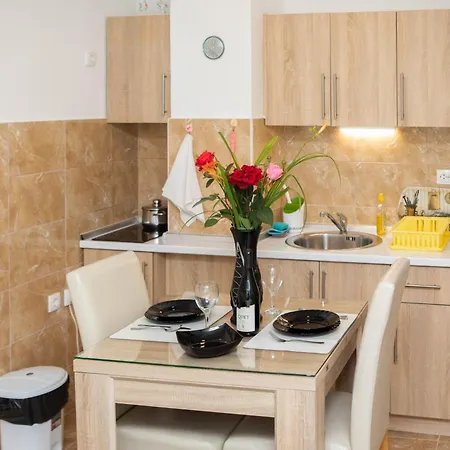 Budimcic Apartment